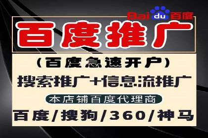 竞价排名中的数据分析和优化案例